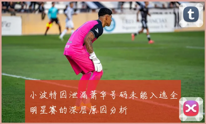 小波特因泄漏萧华号码未能入选全明星赛的深层原因分析