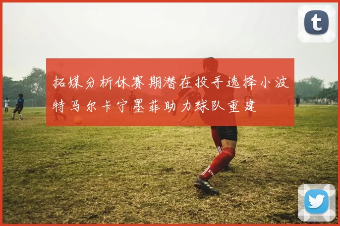 拓媒分析休赛期潜在投手选择小波特马尔卡宁墨菲助力球队重建